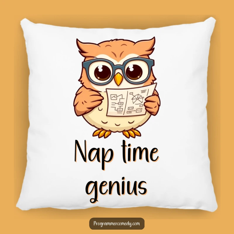 Funny Owl Study Buddy Pillow - Comfy & Hilarious Intellectual Gift
